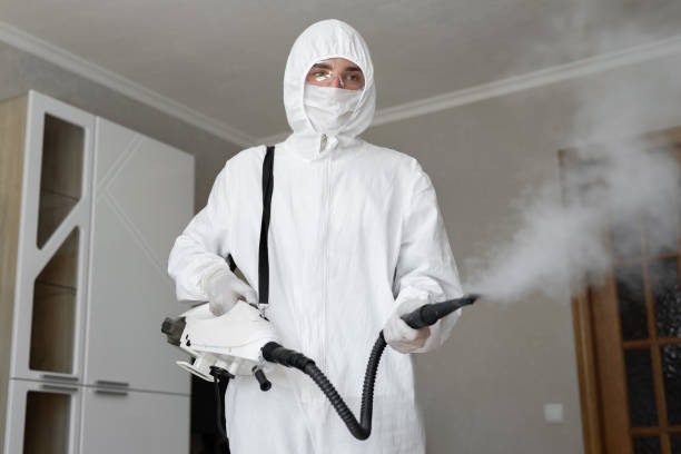 Best Mold Removal for HVAC Installations  in South Kensington, MD